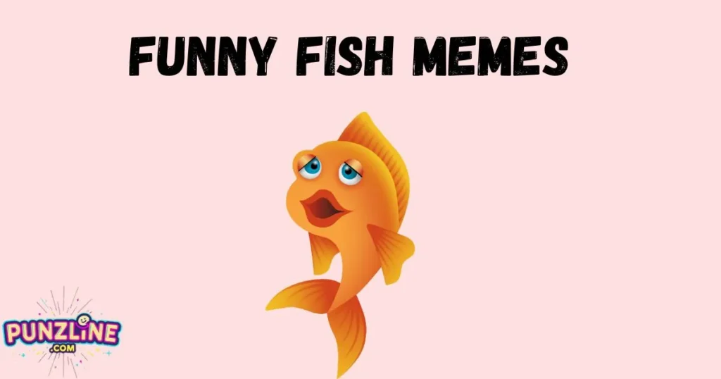 Funny Fish Memes