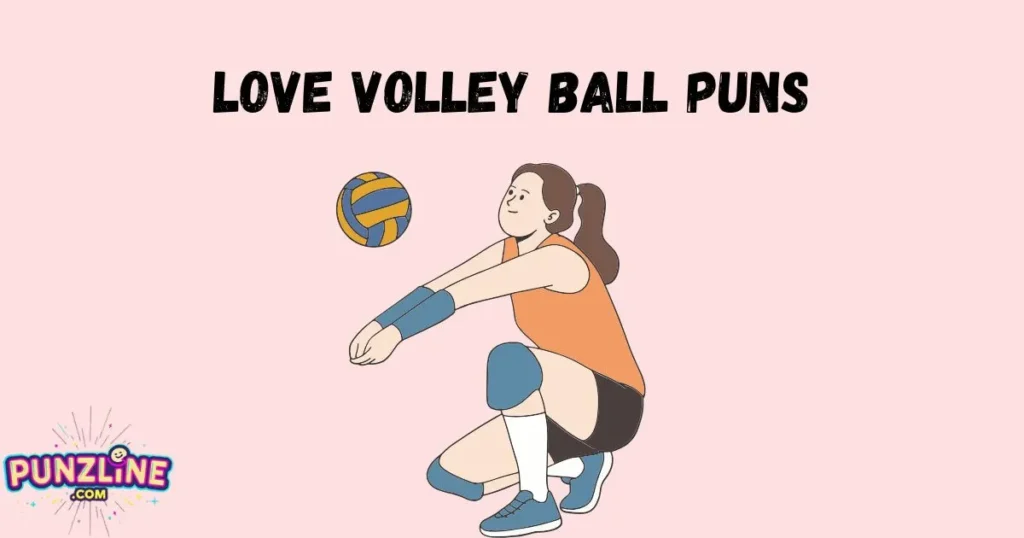 Love Volley Ball Puns