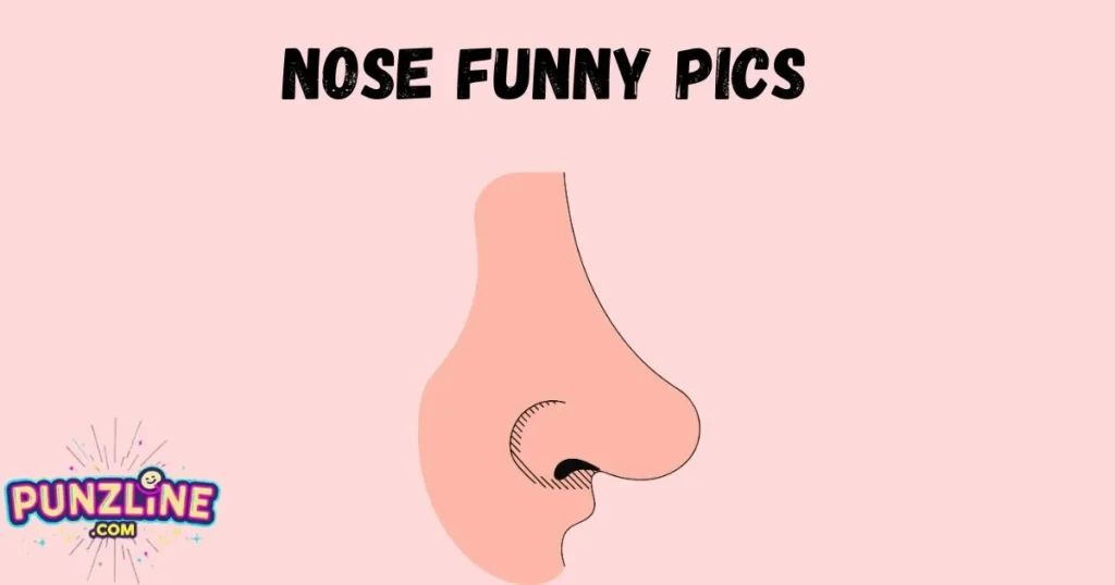 Nose Funny Pics