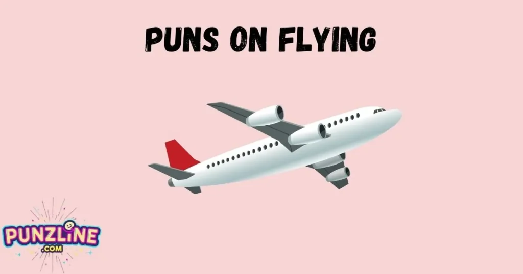 Puns On Flying
