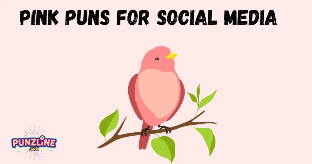 Short Pink Puns for Social Media