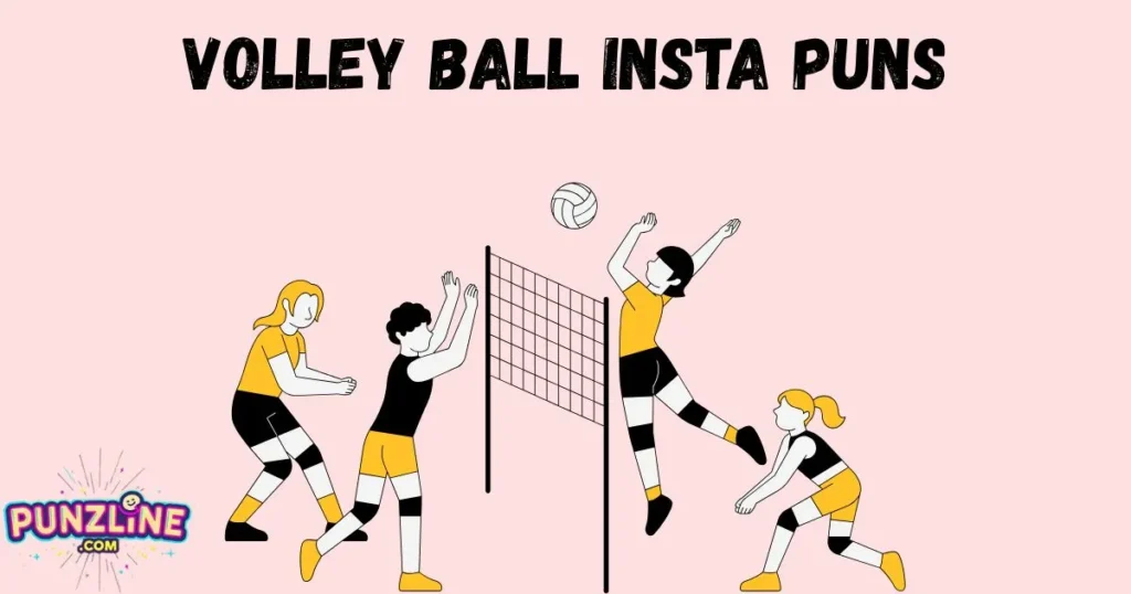 Volley Ball Insta Puns