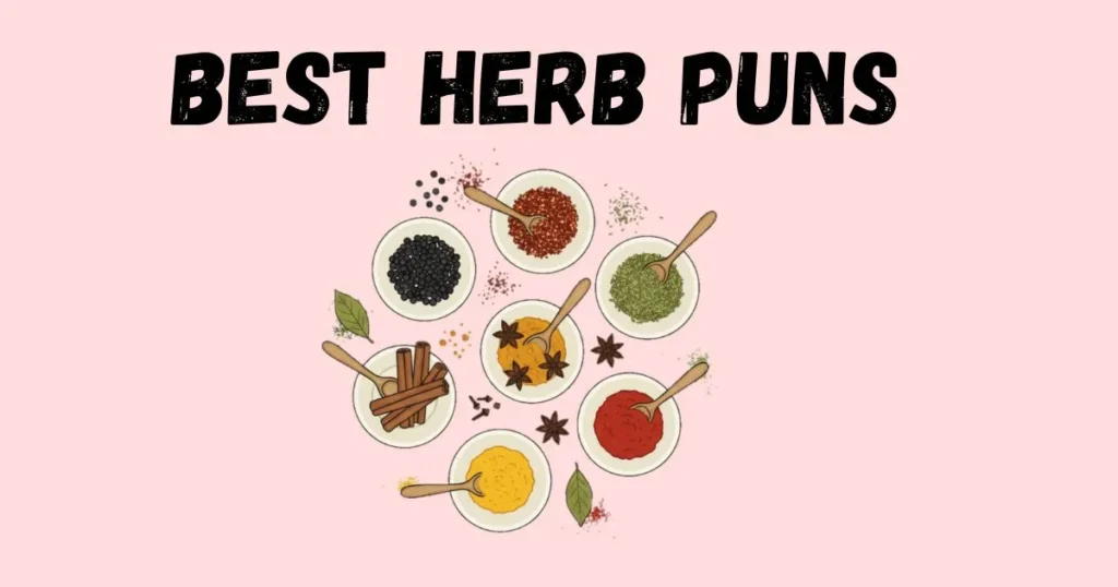 Best Herb Puns