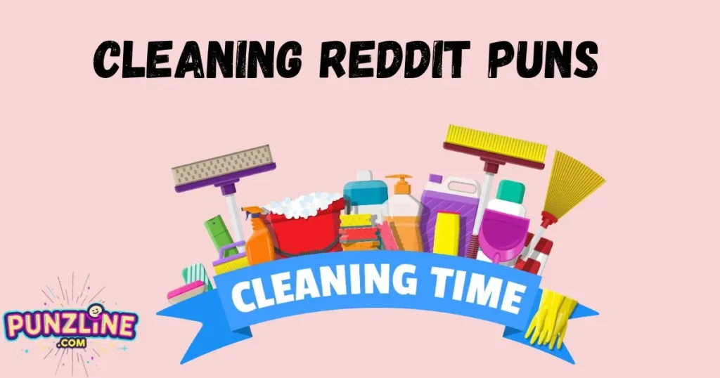 Cleaning Reddit Puns
