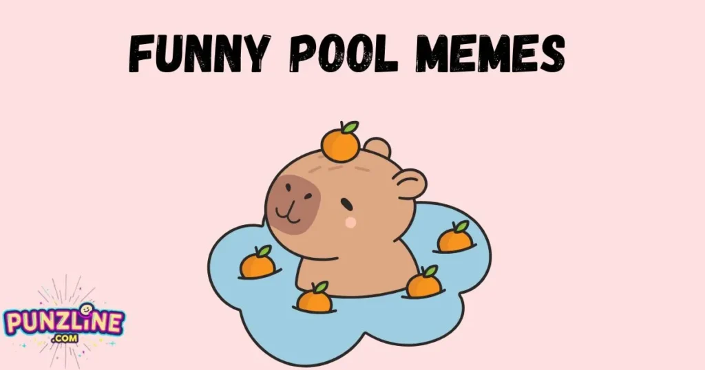Funny Pool Memes
