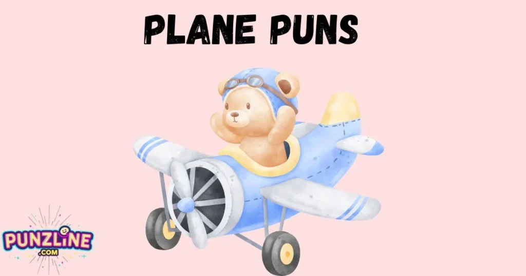 Plane Puns