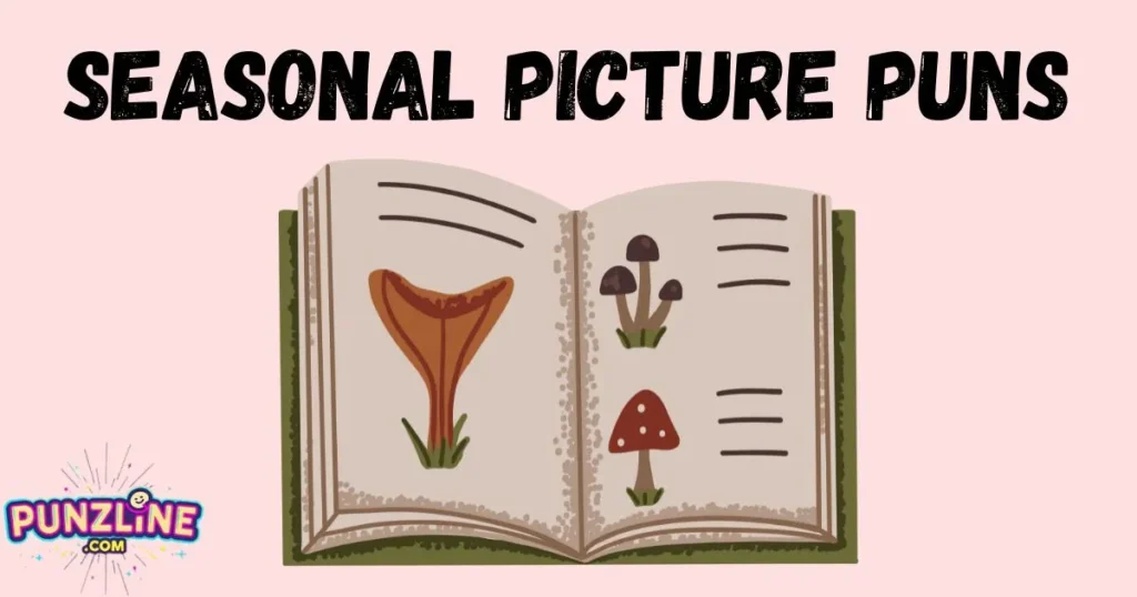 Seasonal Picture Puns