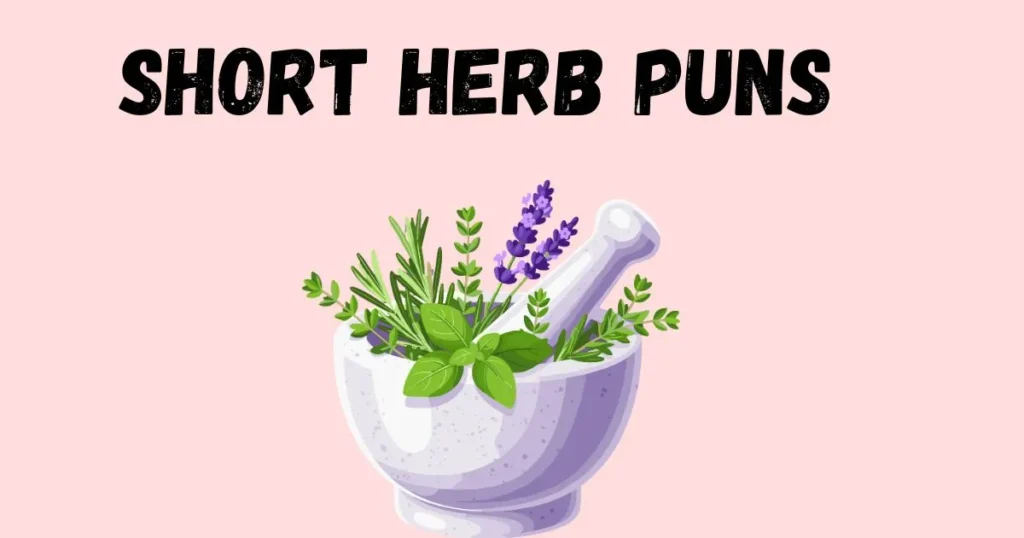 Short Herb Puns