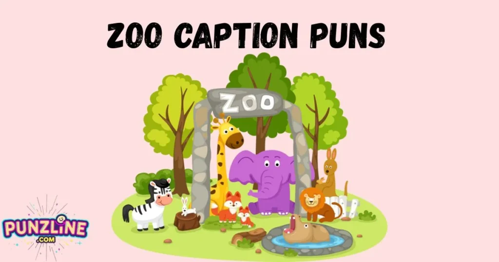 Zoo Caption Puns