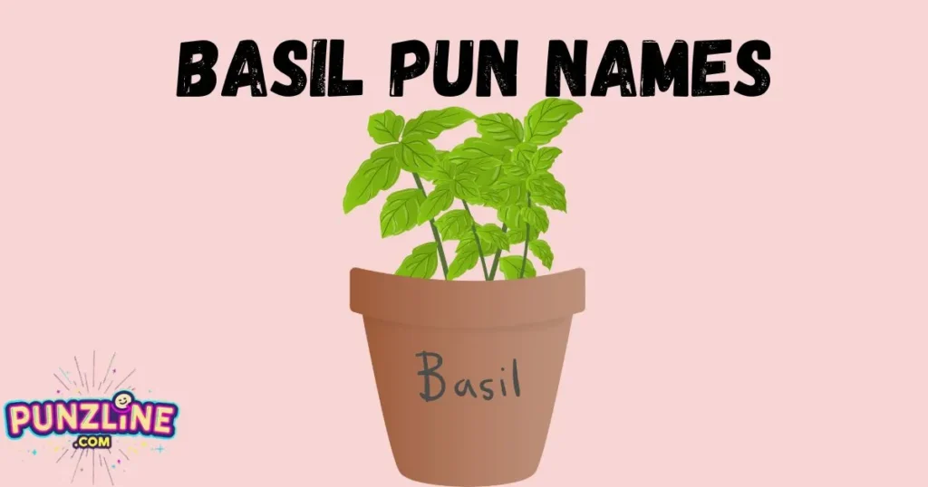 Basil Pun Names