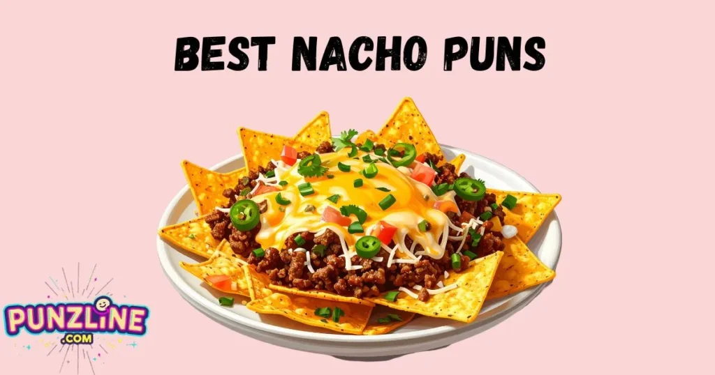 Best Nacho Puns