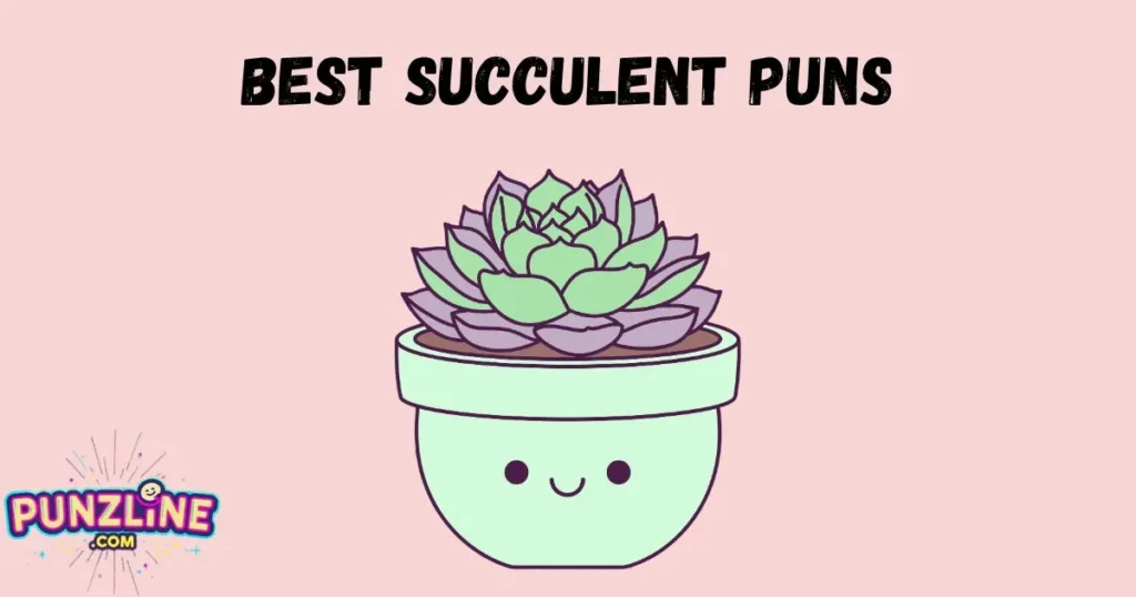 Best Succulent Puns