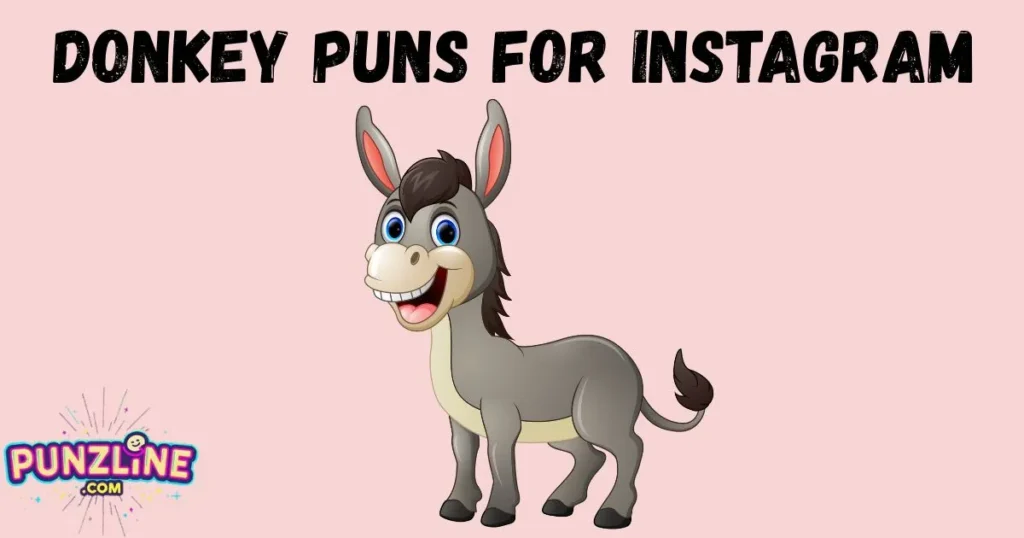 Donkey Puns For Instagram