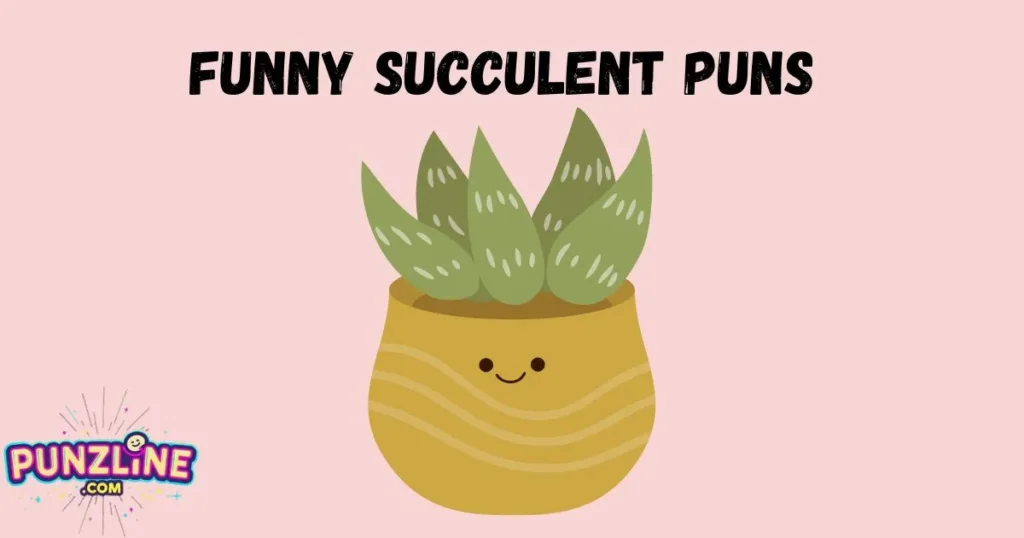 Funny Succulent Puns