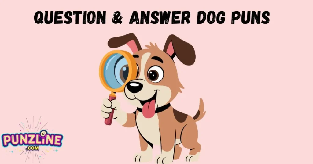 Question And Answer Dog Puns
