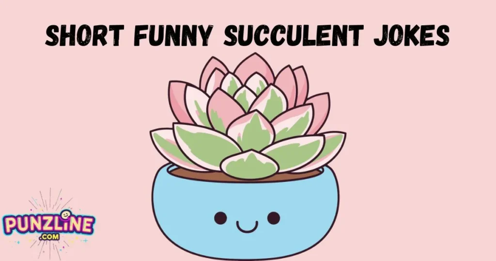 Short Funny Succulent Jokes