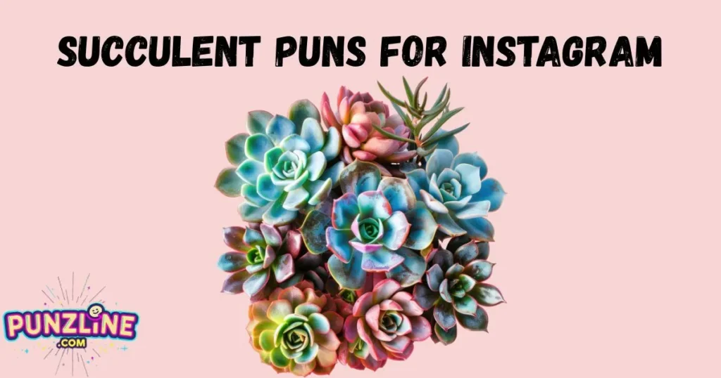 Succulent Puns For Instagram