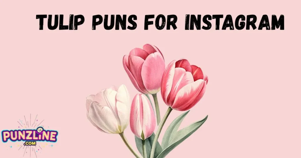 Tulip Puns For Instagram