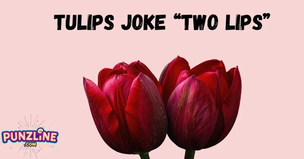 Tulips Joke Two Lips