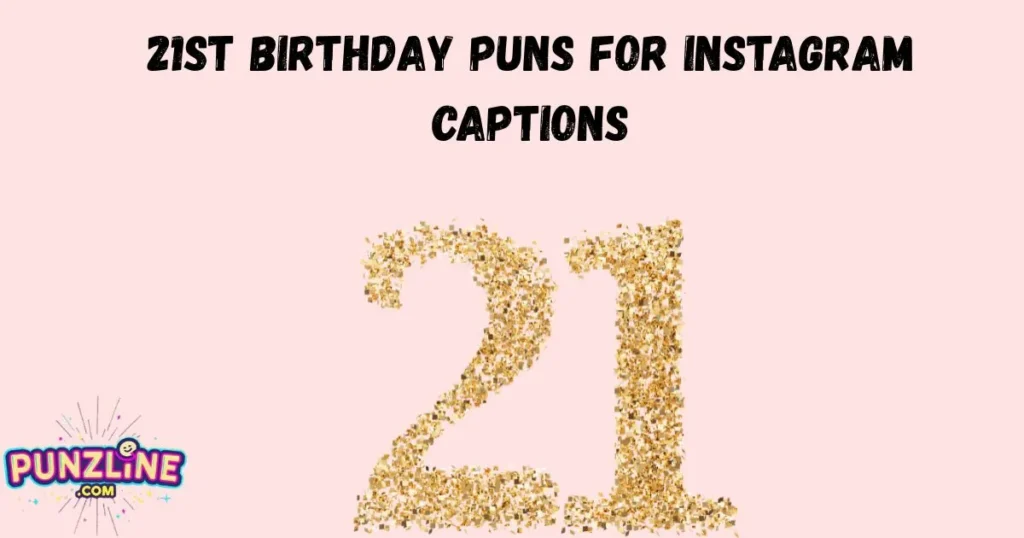 21st Birthday Puns For Instagram Captions