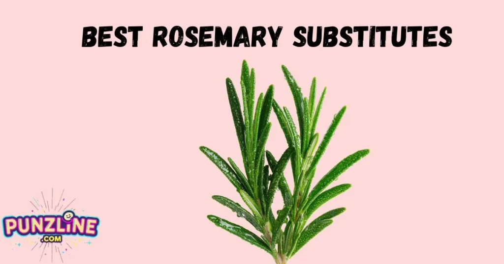 Best Rosemary Substitutes