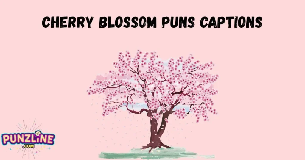 Cherry Blossom Puns Captions