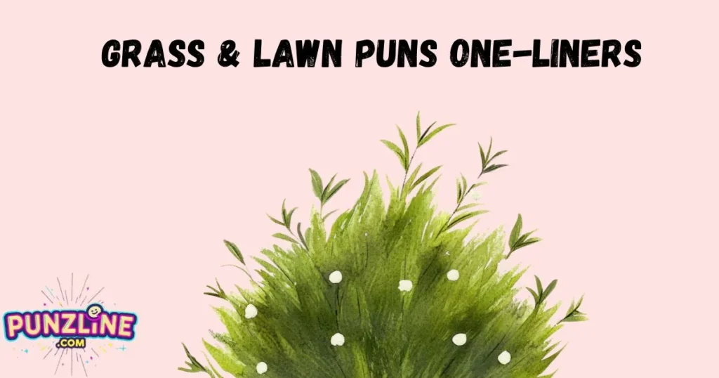 Grass And Lawn Puns One Liners