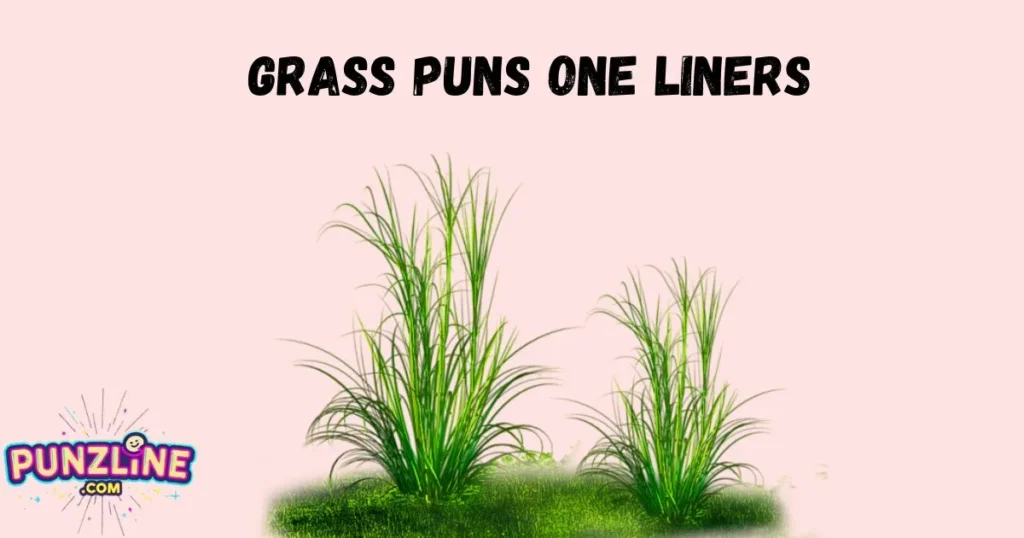 Grass Puns One Liners