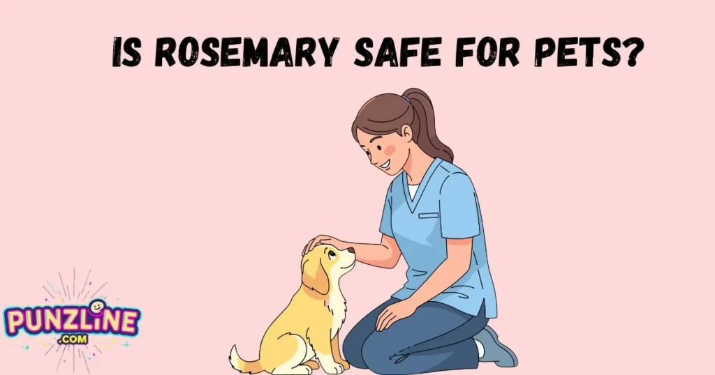 Is Rosemary Safe For Pets