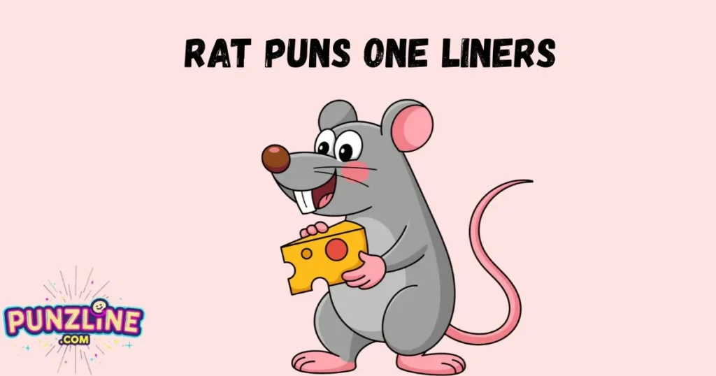 Rat Puns One Liners