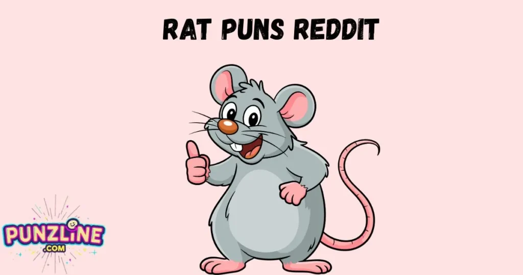 Rat Puns Reddit