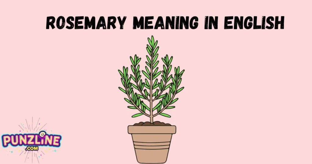 Rosemary Meaning In English