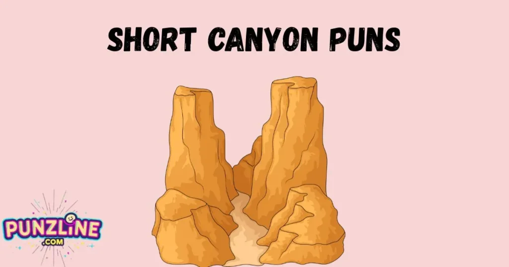 Short Canyon Puns