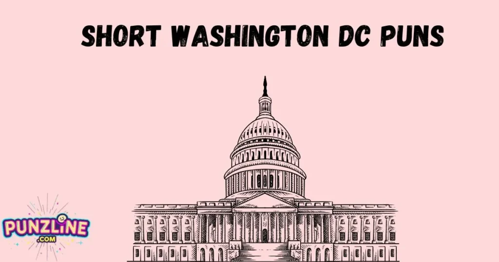Short Washington Dc Puns