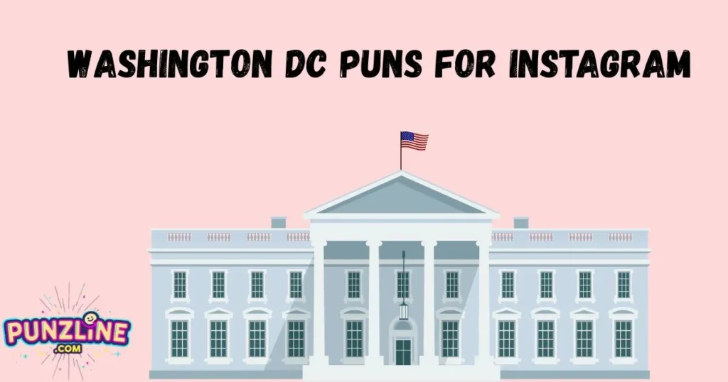 Washington Dc Puns For Instagram