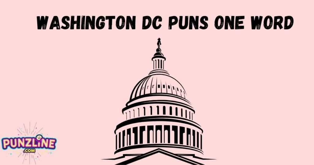 Washington Dc Puns One Word