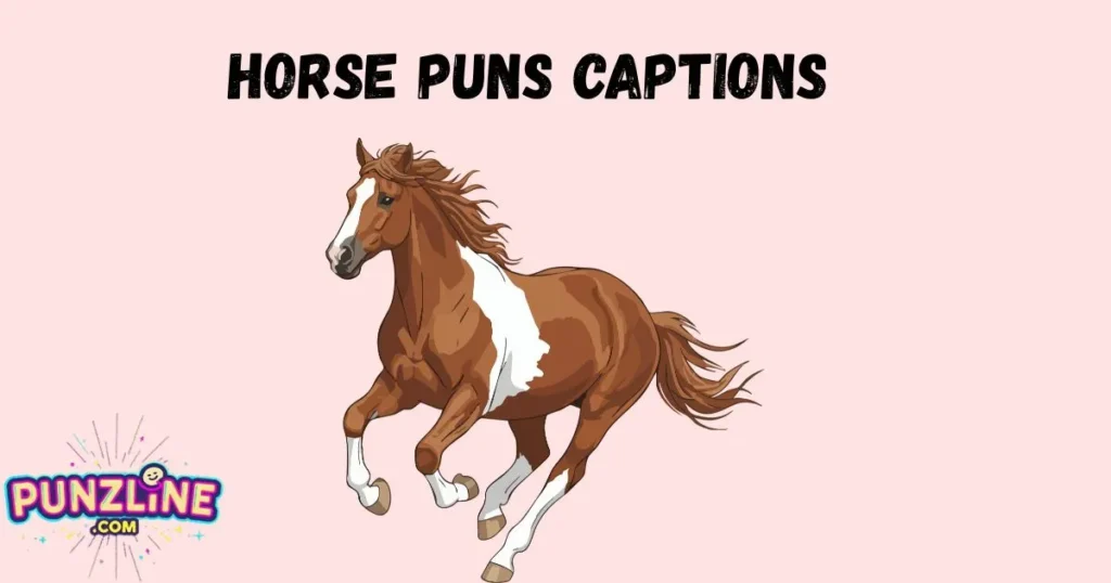 Horse Puns Captions