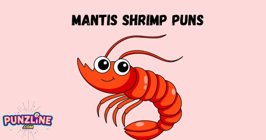 Mantis Shrimp Puns