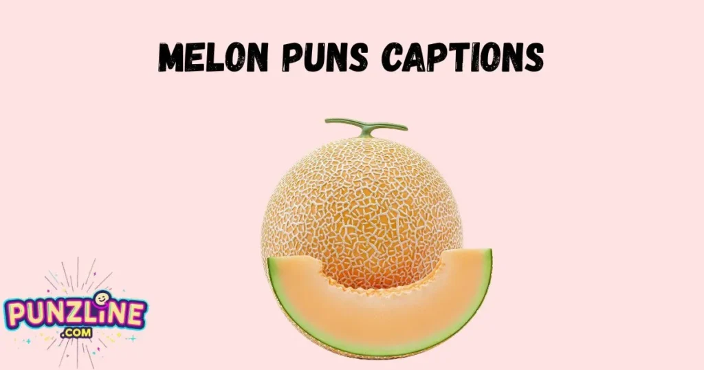 Melon Puns Captions