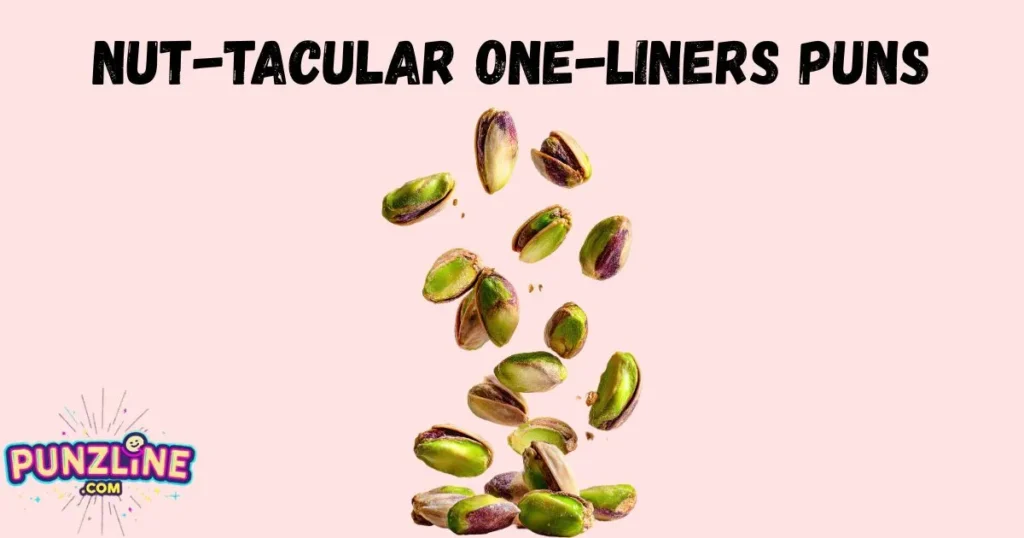 Nut Tacular One Liners Puns