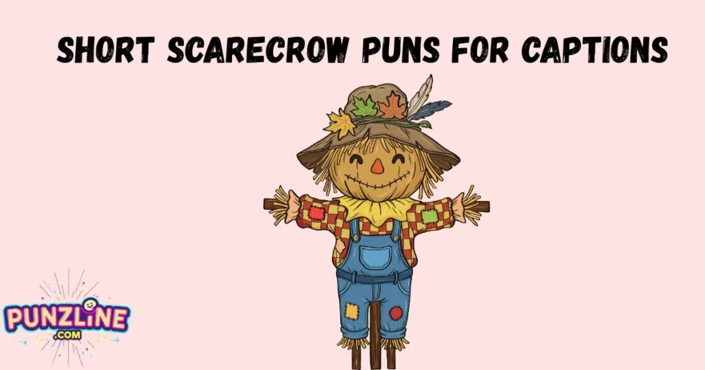 Short Scarecrow Puns For Captions