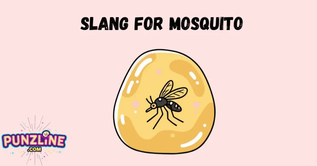 Slang For Mosquito