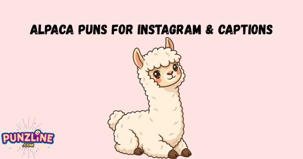 Alpaca Puns For Instagram And Captions