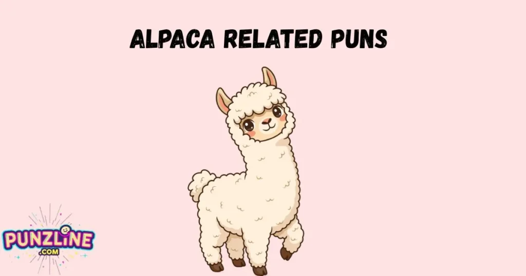 Alpaca Related Puns