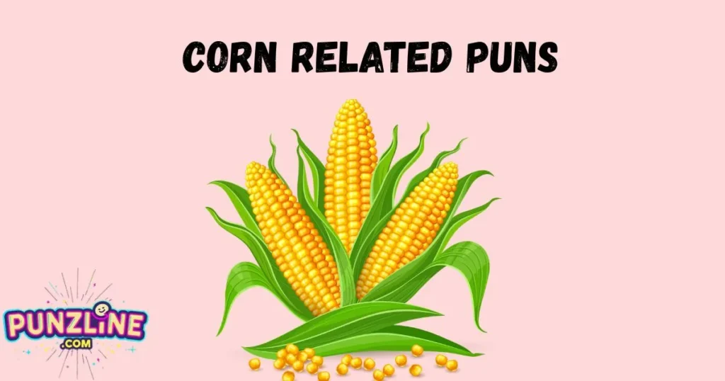 Corn Related Puns