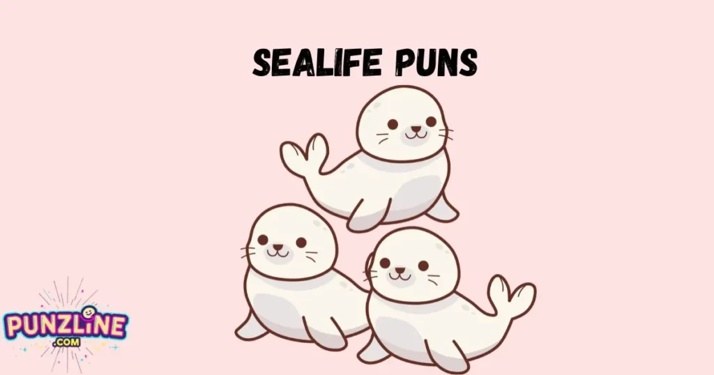 Sealife Puns