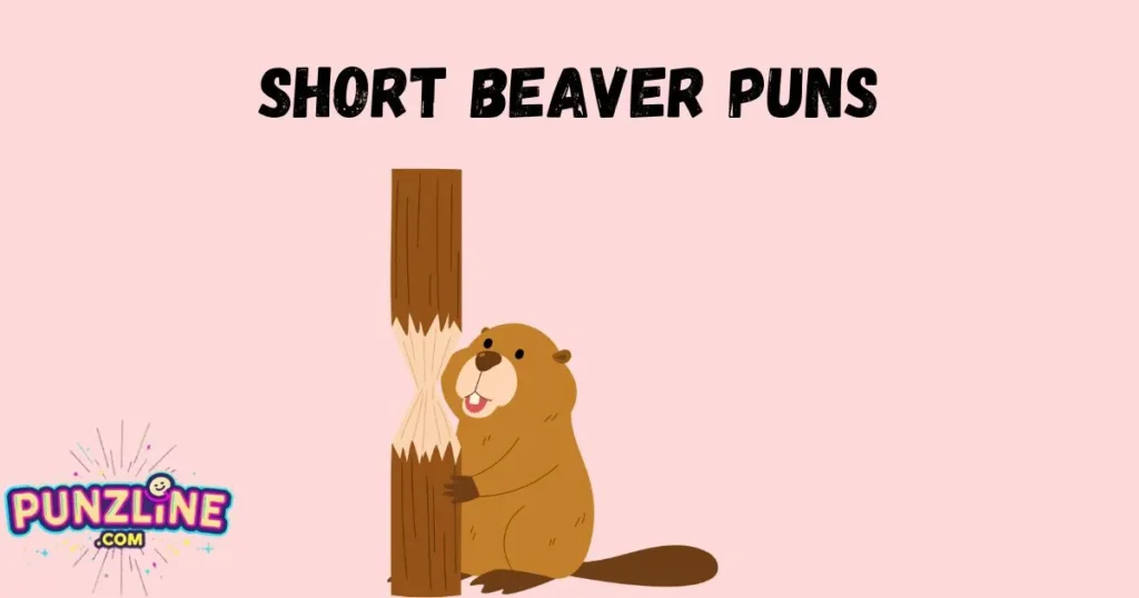 Short Beaver Puns