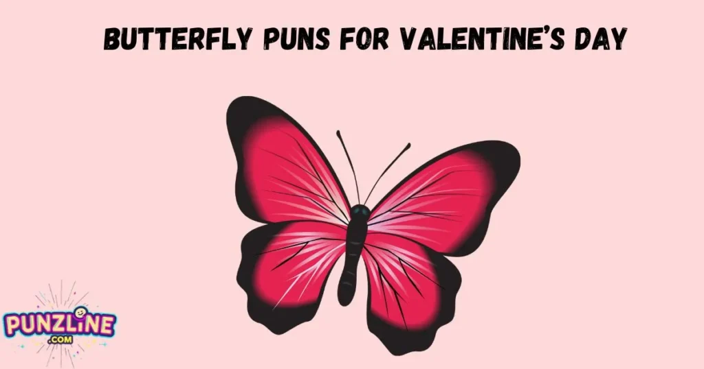 Butterfly Puns For Valentines Day