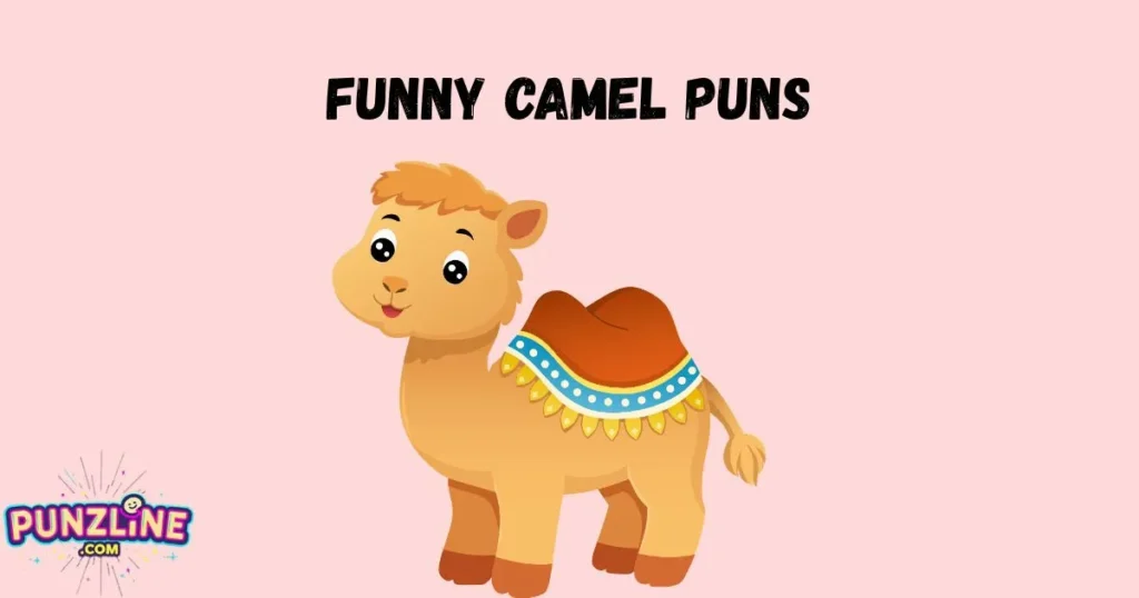 Funny Camel Puns
