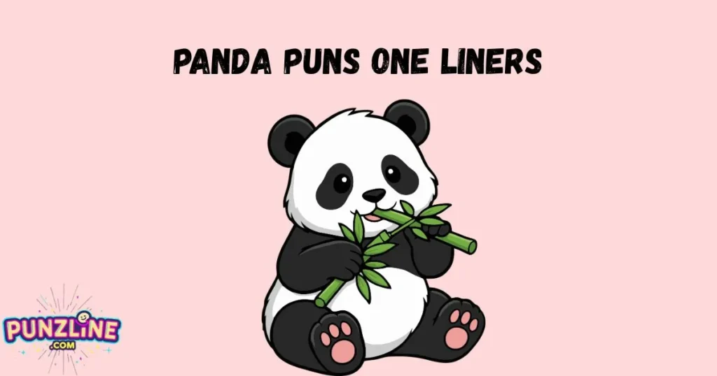 Panda Puns One Liners